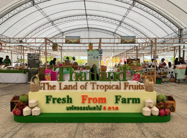 งานแสดงและจำหน่ายสินค้าผลไม้ “Thailand : The Land of ... พารามิเตอร์รูปภาพ 11