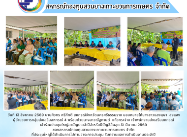 ประชุมใหญ่สามัญประจำปีสำหรับปีบัญชีสิ้นสุด 31 มีนาคม 2569 ... พารามิเตอร์รูปภาพ 8