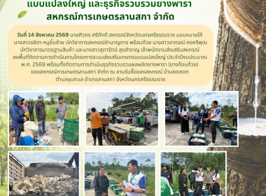 ลงพื้นที่ติดตามการดำเนินงานโครงการระบบส่งเสริมเกษตรแบบแปลงใหญ่ ประจำปีงบประมาณ พ.ศ. 2569 พร้อมทั้งติดตามการดำเนินธุรกิจรวบรวมผลผลิตยางพารา (ยางก้อนถ้วย) ของสหกรณ์การเกษตรลานสกา จำกัด ณ ลานรับซื้อของสหกรณ์ บ้านคดศอก ตำบลขุนทะเล อำเภอลานสกา จังหวัดนครศรีธร ... พารามิเตอร์รูปภาพ 1