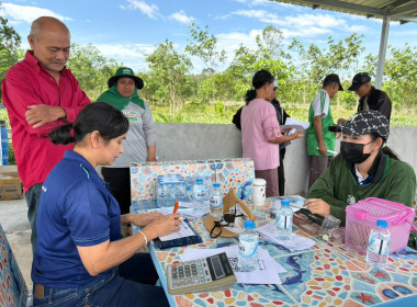 ลงพื้นที่ติดตามการดำเนินงานโครงการระบบส่งเสริมเกษตรแบบแปลงใหญ่ ประจำปีงบประมาณ พ.ศ. 2569 พร้อมทั้งติดตามการดำเนินธุรกิจรวบรวมผลผลิตยางพารา (ยางก้อนถ้วย) ของสหกรณ์การเกษตรลานสกา จำกัด ณ ลานรับซื้อของสหกรณ์ บ้านคดศอก ตำบลขุนทะเล อำเภอลานสกา จังหวัดนครศรีธร ... พารามิเตอร์รูปภาพ 2