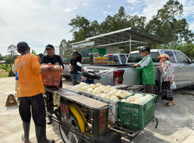 ลงพื้นที่ติดตามการดำเนินงานโครงการระบบส่งเสริมเกษตรแบบแปลงใหญ่ ประจำปีงบประมาณ พ.ศ. 2569 พร้อมทั้งติดตามการดำเนินธุรกิจรวบรวมผลผลิตยางพารา (ยางก้อนถ้วย) ของสหกรณ์การเกษตรลานสกา จำกัด ณ ลานรับซื้อของสหกรณ์ บ้านคดศอก ตำบลขุนทะเล อำเภอลานสกา จังหวัดนครศรีธร ... พารามิเตอร์รูปภาพ 3