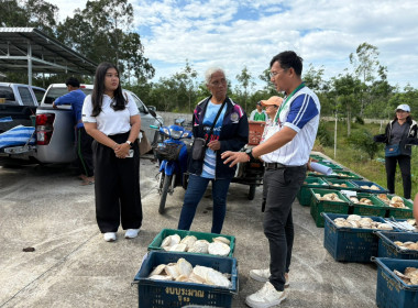 ลงพื้นที่ติดตามการดำเนินงานโครงการระบบส่งเสริมเกษตรแบบแปลงใหญ่ ประจำปีงบประมาณ พ.ศ. 2569 พร้อมทั้งติดตามการดำเนินธุรกิจรวบรวมผลผลิตยางพารา (ยางก้อนถ้วย) ของสหกรณ์การเกษตรลานสกา จำกัด ณ ลานรับซื้อของสหกรณ์ บ้านคดศอก ตำบลขุนทะเล อำเภอลานสกา จังหวัดนครศรีธร ... พารามิเตอร์รูปภาพ 4