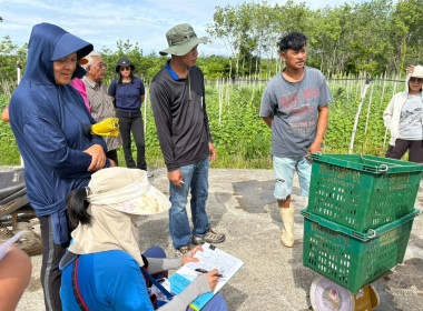 ลงพื้นที่ติดตามการดำเนินงานโครงการระบบส่งเสริมเกษตรแบบแปลงใหญ่ ประจำปีงบประมาณ พ.ศ. 2569 พร้อมทั้งติดตามการดำเนินธุรกิจรวบรวมผลผลิตยางพารา (ยางก้อนถ้วย) ของสหกรณ์การเกษตรลานสกา จำกัด ณ ลานรับซื้อของสหกรณ์ บ้านคดศอก ตำบลขุนทะเล อำเภอลานสกา จังหวัดนครศรีธร ... พารามิเตอร์รูปภาพ 7