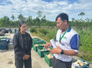 ลงพื้นที่ติดตามการดำเนินงานโครงการระบบส่งเสริมเกษตรแบบแปลงใหญ่ ประจำปีงบประมาณ พ.ศ. 2569 พร้อมทั้งติดตามการดำเนินธุรกิจรวบรวมผลผลิตยางพารา (ยางก้อนถ้วย) ของสหกรณ์การเกษตรลานสกา จำกัด ณ ลานรับซื้อของสหกรณ์ บ้านคดศอก ตำบลขุนทะเล อำเภอลานสกา จังหวัดนครศรีธร ... พารามิเตอร์รูปภาพ 9