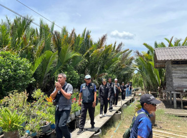 ลงพื้นที่ติดตามการดำเนินงานเพื่อขับเคลื่อนนโยบายและแก้ไขปัญหาการจัดที่ดินทำกินให้ชุมชน และการกระจายการถือครองที่ดินจังหวัดนครศรีธรรมราช ในพื้นที่ป่าชายเลนอำเภอเมืองและอำเภอปากพนัง จังหวัดนครศรีธรรมราช โดยมีสถาบันวิจัยและให้คำปรึกษาแห่งมหาวิทยาลัยธรรมศาสต ... พารามิเตอร์รูปภาพ 4