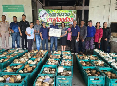 ลงพื้นที่ติดตามการดำเนินธุรกิจรวบรวมผลผลิต ณ ... พารามิเตอร์รูปภาพ 4