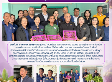 ลงพื้นที่ตรวจเยี่ยม ให้คำแนะนำการรวบรวมผลผลิตมังคุด ... พารามิเตอร์รูปภาพ 1