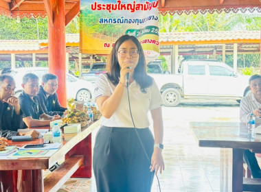 ประชุมใหญ่สามัญประจำปีสำหรับปีบัญชีสิ้นสุด 31 มีนาคม 2569 ... พารามิเตอร์รูปภาพ 2