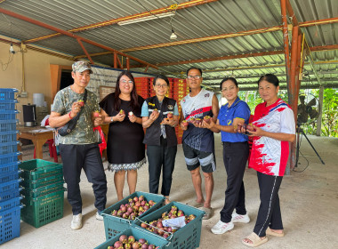 ลงพื้นที่ติดตามและให้คำแนะนำการดำเนินธุรกิจรวบรวมมังคุด ... พารามิเตอร์รูปภาพ 2