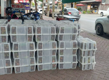 ลงพื้นที่ติดตามและให้คำแนะนำการดำเนินธุรกิจรวบรวมมังคุด ... พารามิเตอร์รูปภาพ 14