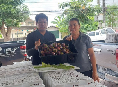 ลงพื้นที่ติดตามและให้คำแนะนำการดำเนินธุรกิจรวบรวมมังคุด ... พารามิเตอร์รูปภาพ 17