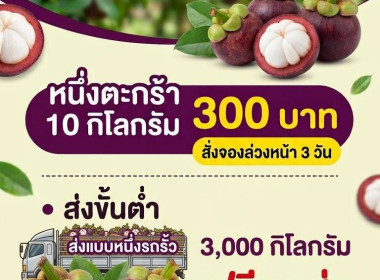 ลงพื้นที่ติดตามและให้คำแนะนำการดำเนินธุรกิจรวบรวมมังคุด ... พารามิเตอร์รูปภาพ 21