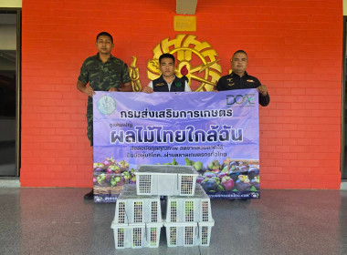 ลงพื้นที่ติดตามและให้คำแนะนำการดำเนินธุรกิจรวบรวมมังคุด ... พารามิเตอร์รูปภาพ 29