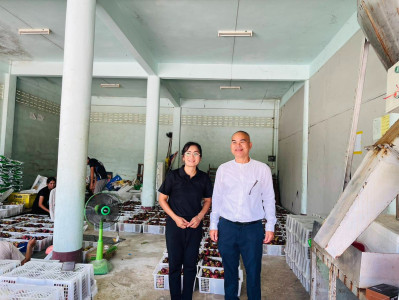 ลงพื้นที่เพื่อให้กำลังใจและติดตามการรวบรวมผลผลิตมังคุดของสมาชิกสหกรณ์การเกษตรศุภนิมิตชะอวดพัฒนา จำกัด ที่ได้มีการกระจายผลผลิตออกสู่ตลาด จำนวน 21 ตัน มูลค่าจำหน่ายกว่า 6 แสนบาท ผ่านเครือข่ายสหกรณ์ หน่วยงานภาครัฐและเอกชน ซึ่งสหกรณ์เป็นตัวกลางในการรับซื้อผล ... พารามิเตอร์รูปภาพ 1