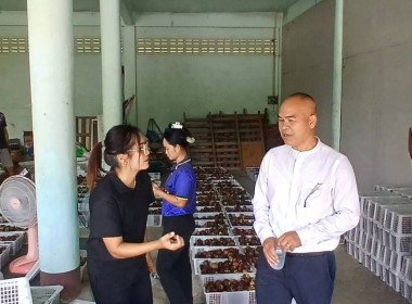 ลงพื้นที่เพื่อให้กำลังใจและติดตามการรวบรวมผลผลิตมังคุดของสมาชิกสหกรณ์การเกษตรศุภนิมิตชะอวดพัฒนา จำกัด ที่ได้มีการกระจายผลผลิตออกสู่ตลาด จำนวน 21 ตัน มูลค่าจำหน่ายกว่า 6 แสนบาท ผ่านเครือข่ายสหกรณ์ หน่วยงานภาครัฐและเอกชน ซึ่งสหกรณ์เป็นตัวกลางในการรับซื้อผล ... พารามิเตอร์รูปภาพ 8