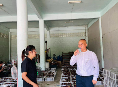 ลงพื้นที่เพื่อให้กำลังใจและติดตามการรวบรวมผลผลิตมังคุดของสมาชิกสหกรณ์การเกษตรศุภนิมิตชะอวดพัฒนา จำกัด ที่ได้มีการกระจายผลผลิตออกสู่ตลาด จำนวน 21 ตัน มูลค่าจำหน่ายกว่า 6 แสนบาท ผ่านเครือข่ายสหกรณ์ หน่วยงานภาครัฐและเอกชน ซึ่งสหกรณ์เป็นตัวกลางในการรับซื้อผล ... พารามิเตอร์รูปภาพ 11