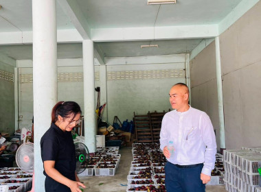 ลงพื้นที่เพื่อให้กำลังใจและติดตามการรวบรวมผลผลิตมังคุดของสมาชิกสหกรณ์การเกษตรศุภนิมิตชะอวดพัฒนา จำกัด ที่ได้มีการกระจายผลผลิตออกสู่ตลาด จำนวน 21 ตัน มูลค่าจำหน่ายกว่า 6 แสนบาท ผ่านเครือข่ายสหกรณ์ หน่วยงานภาครัฐและเอกชน ซึ่งสหกรณ์เป็นตัวกลางในการรับซื้อผล ... พารามิเตอร์รูปภาพ 12