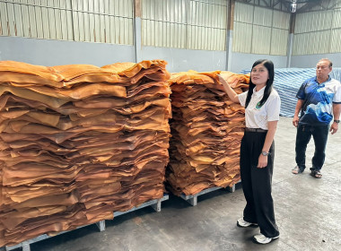 ลงพื้นที่ติดตามผลการดำเนินงานโครงการส่งเสริมระบบเกษตรแบบแปลงใหญ่ พร้อมทั้งติดตามการใช้ประโยชน์อุปกรณ์การตลาดที่ได้รับการสนับสนุนจากกรมส่งเสริมสหกรณ์ ภายใต้โครงการเพิ่มประสิทธิภาพด้านการผลิตและการขนส่งของสหกรณ์ เพื่อเป็นต้นแบบในการบริหารจัดการ ในการนี้ นา ... พารามิเตอร์รูปภาพ 4