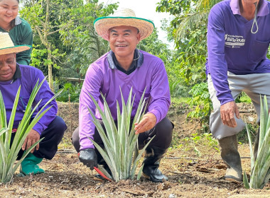 โครงการ“ปลูกคิด ปลูกกิน ปลูกใจ” ... พารามิเตอร์รูปภาพ 4
