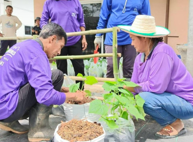 โครงการ“ปลูกคิด ปลูกกิน ปลูกใจ” ... พารามิเตอร์รูปภาพ 9