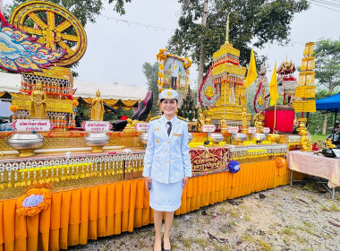แห่ถ้วยรางวัลพระราชทาน ... พารามิเตอร์รูปภาพ 8