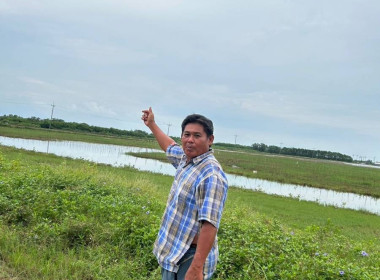 ตรวจสอบข้อมูลการปลูกป่าโกงกางในพื้นที่ซึ่ง ... พารามิเตอร์รูปภาพ 8