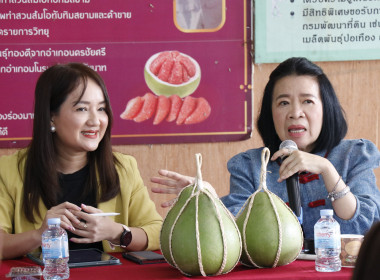 สัมมนา/ศึกษาดูงาน ... พารามิเตอร์รูปภาพ 5