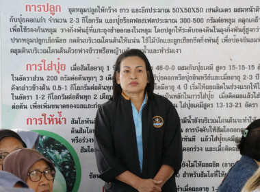 สัมมนา/ศึกษาดูงาน ... พารามิเตอร์รูปภาพ 8